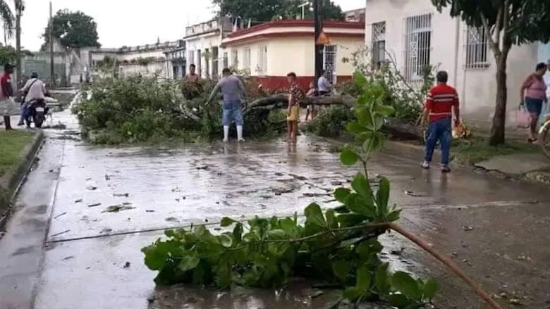 Árboles derribados por la tormenta en Camagüey.