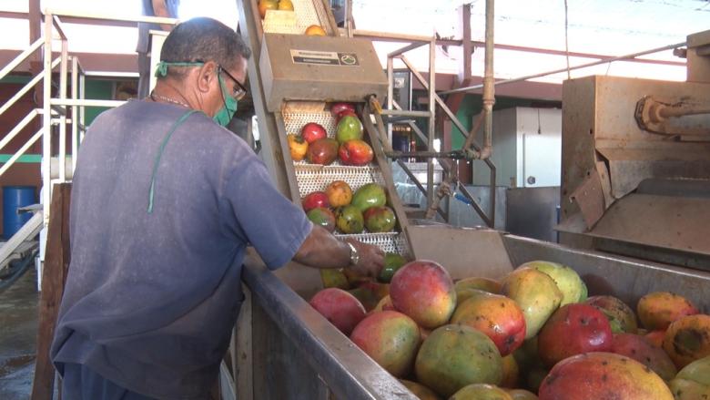 Producción de La Güireña, entidad estatal autorizada para la importación y exportación en Cuba.