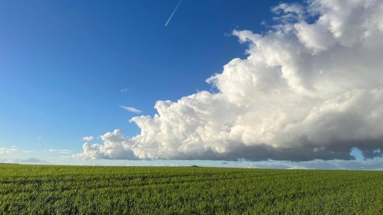 Nube y llanura.