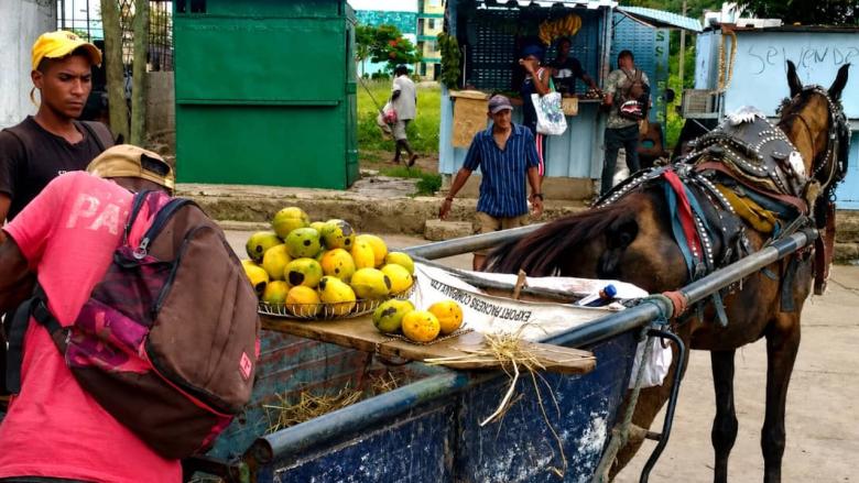 Venta ambulante de mangos en Santiago de Cuba.