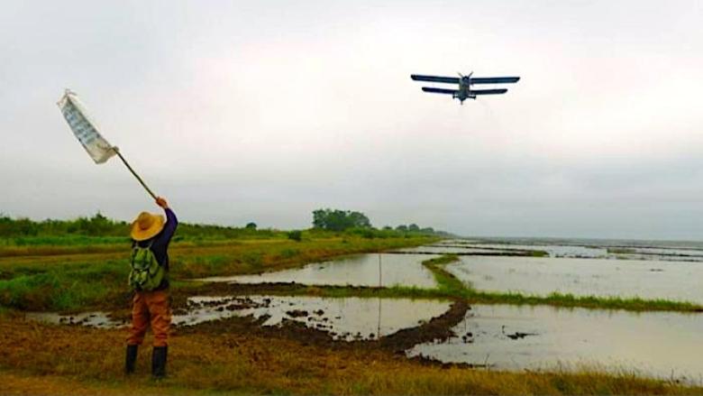Trabajador haciendo señas a una avioneta agrícola.