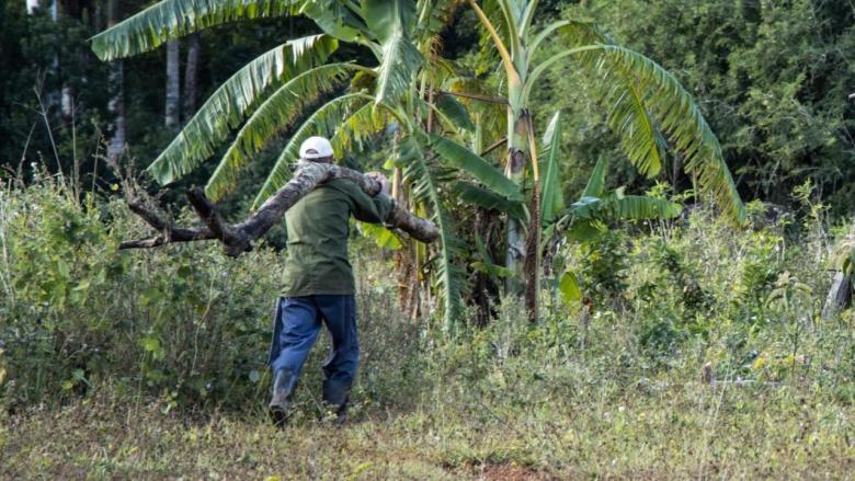 Un campesino en Cuba.