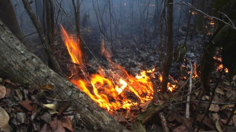 El incendio en el Parque Nacional Alejandro de Humboldt.