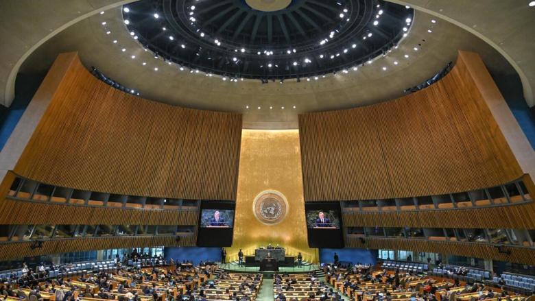 Asamblea General de las Naciones Unidas.