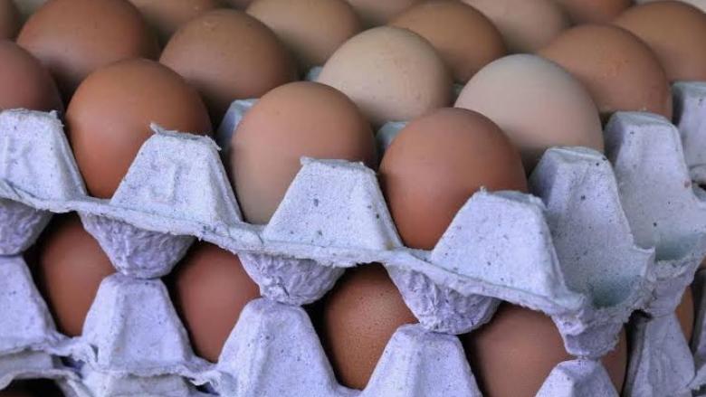 Producción de huevos en República Dominicana.